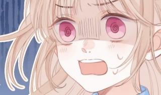 偷偷藏不住动漫一共有多少集 偷偷藏不住动漫